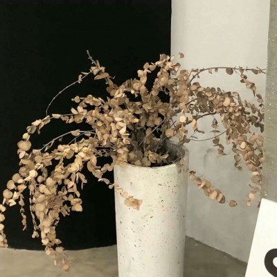 兽设花海场景设计兽圈社群